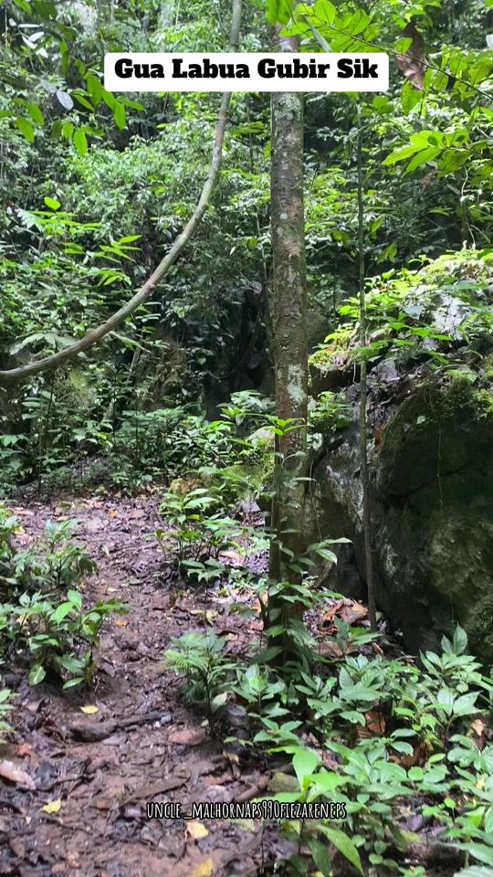 TikTok video thumbnail by mohd_haneef990_abdullah