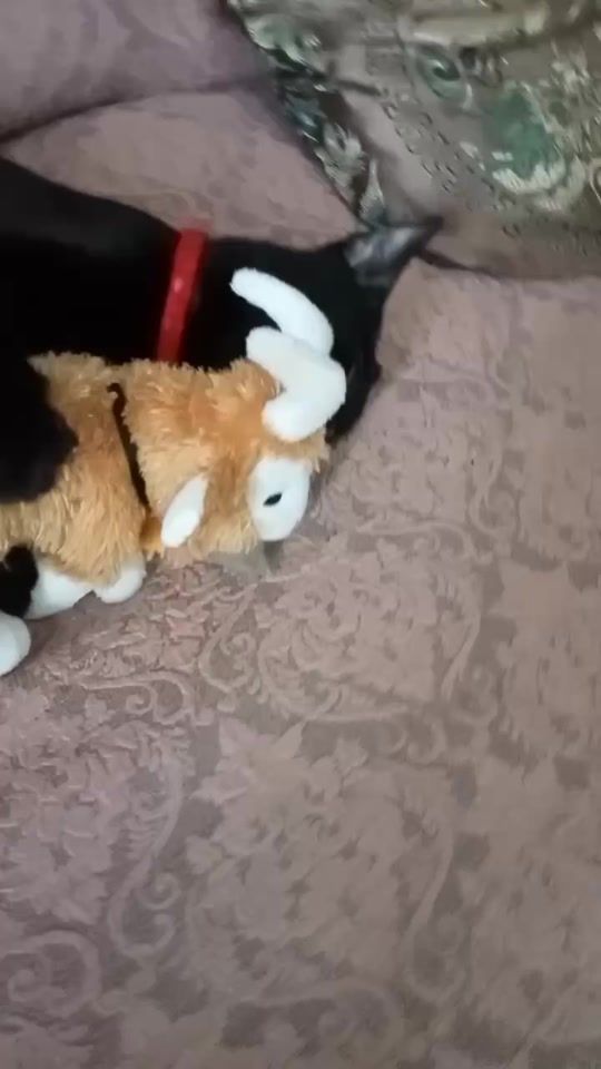 TikTok video thumbnail by avridnsou9