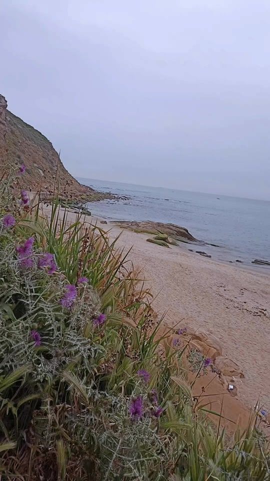 TikTok video thumbnail by weld.mdina.wm