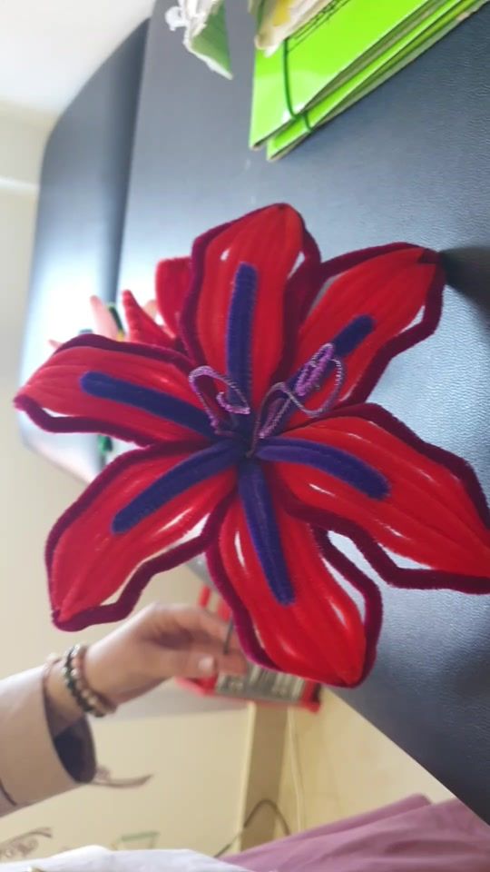 TikTok video thumbnail by nadasbloom