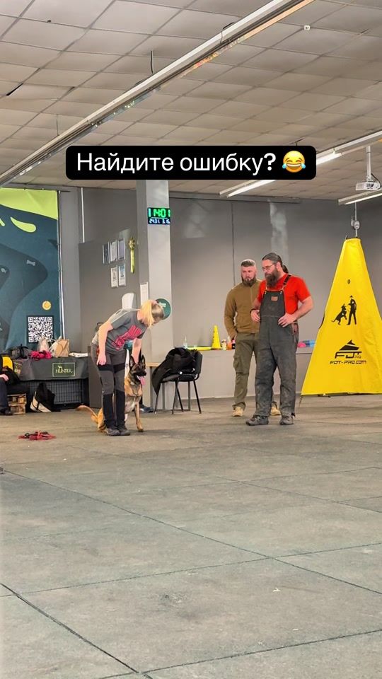 TikTok video thumbnail by yara.malinois