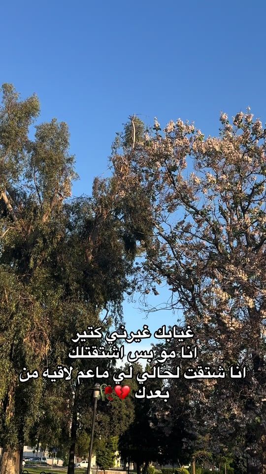 TikTok video thumbnail by largnen