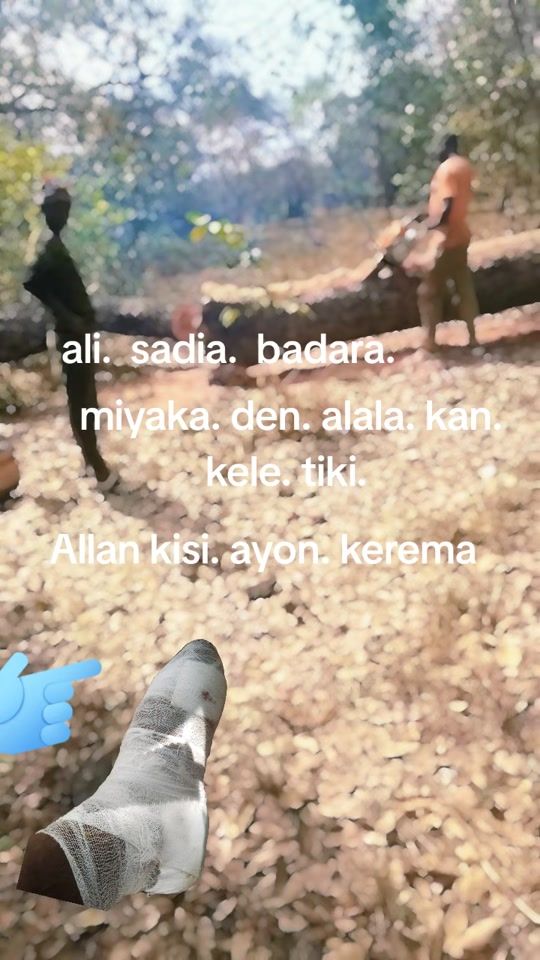 TikTok video thumbnail by salifou.diakite0