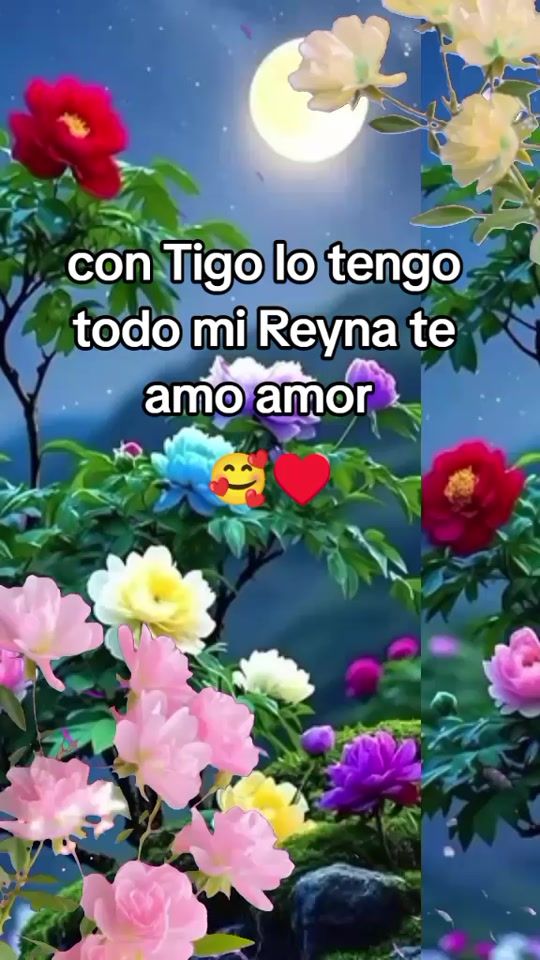 TikTok video thumbnail by chico.triste002
