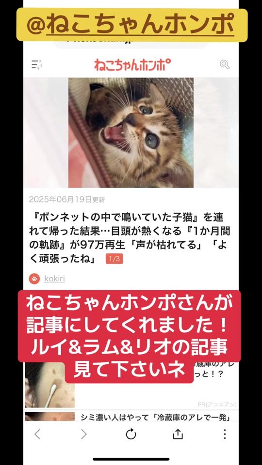 TikTok video thumbnail by ramu_rio