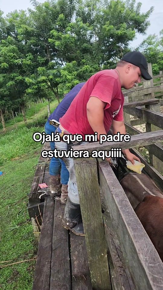 TikTok video thumbnail by olfercordon