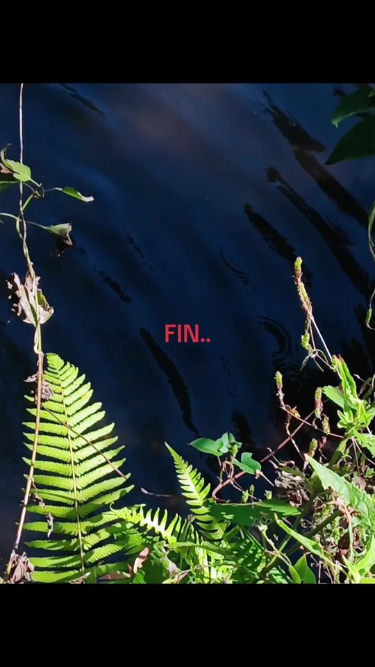TikTok video thumbnail by agliz22
