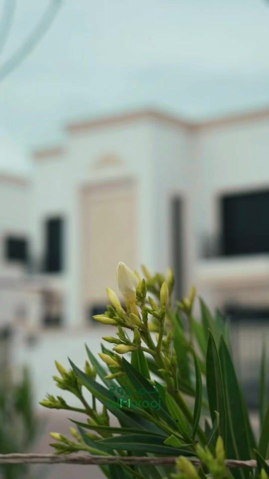 TikTok video thumbnail by almuroojrealstate