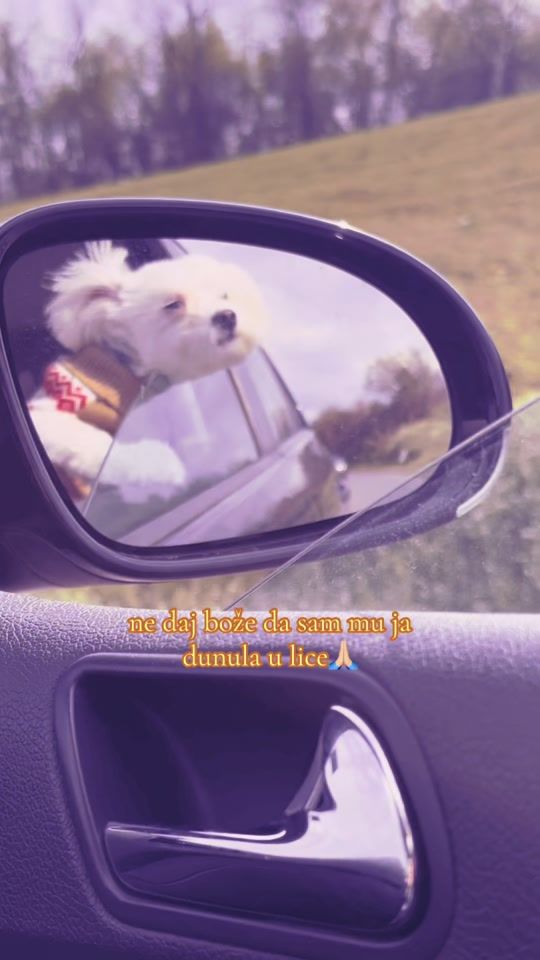 TikTok video thumbnail by bonimaltezer