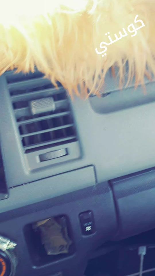 TikTok video thumbnail by hmam395