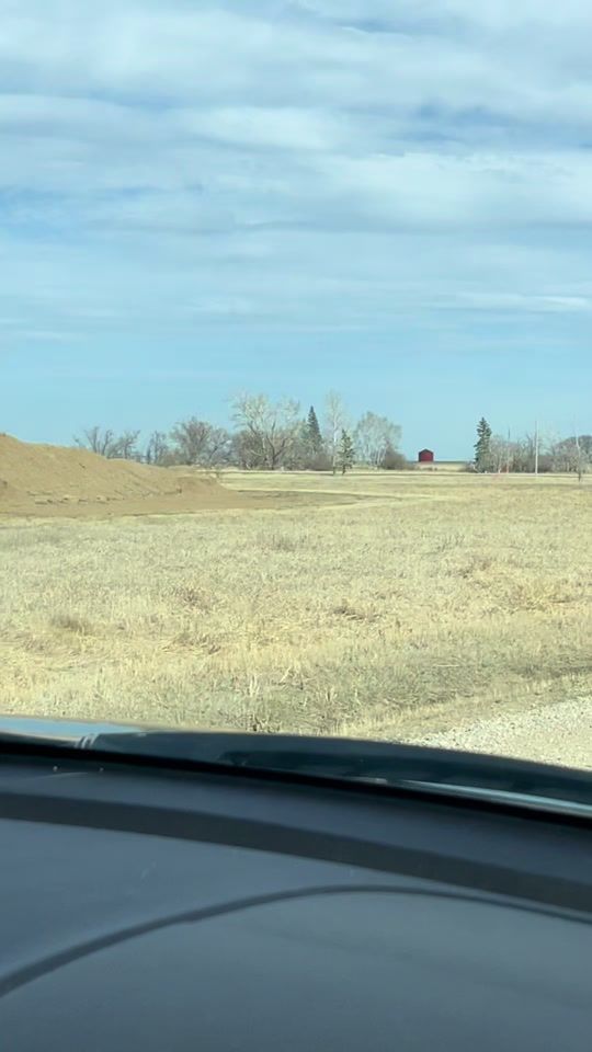 TikTok video thumbnail by azieclemmensen