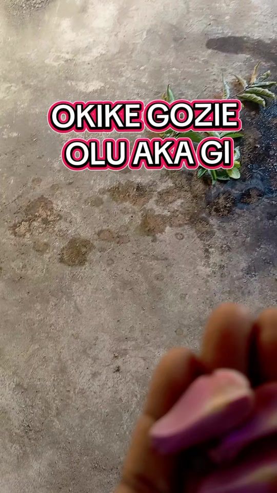 TikTok video thumbnail by daylight_radiotv