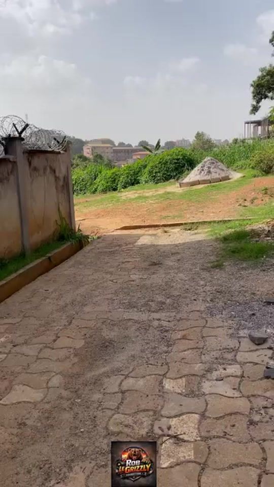 TikTok video thumbnail by no26905