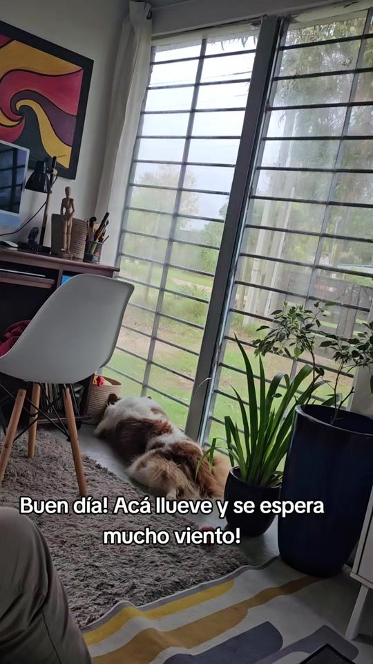 TikTok video thumbnail by sil.hm