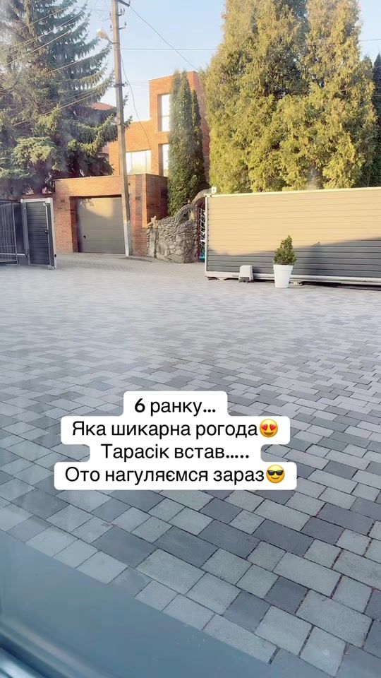 TikTok video thumbnail by canecorsocryzer