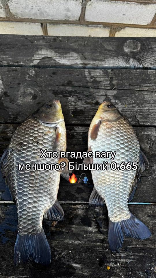 TikTok video thumbnail by yatsenko_fisherman