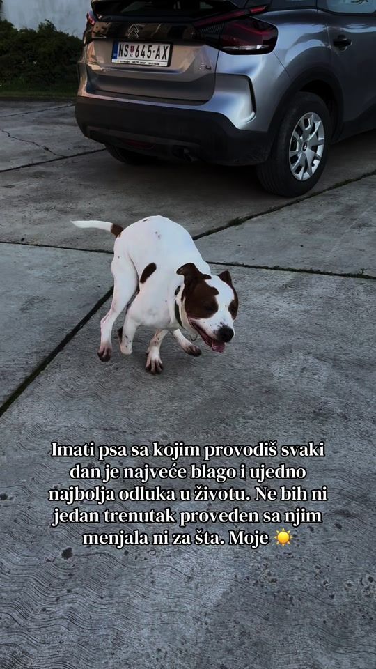 TikTok video thumbnail by janabarac