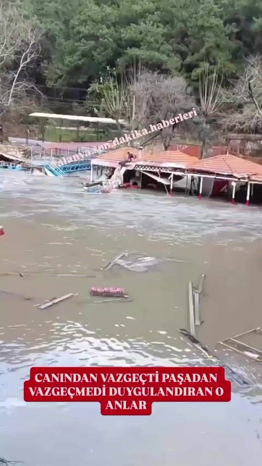 TikTok video thumbnail by yusifatak