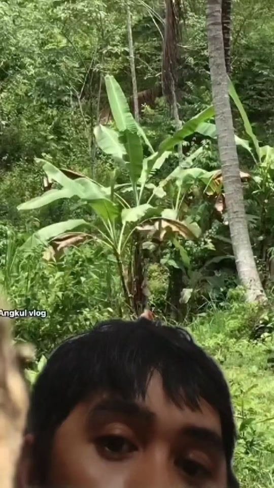 TikTok video thumbnail by liamlerio_3rd_form