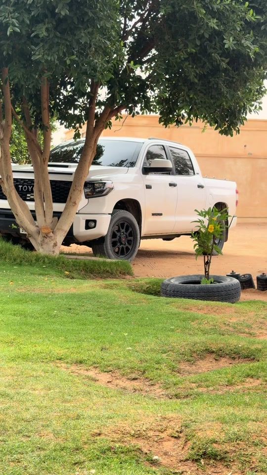 TikTok video thumbnail by s_0__00