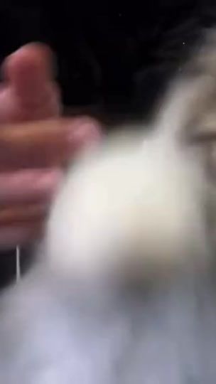 TikTok video thumbnail by ssleeeppzz