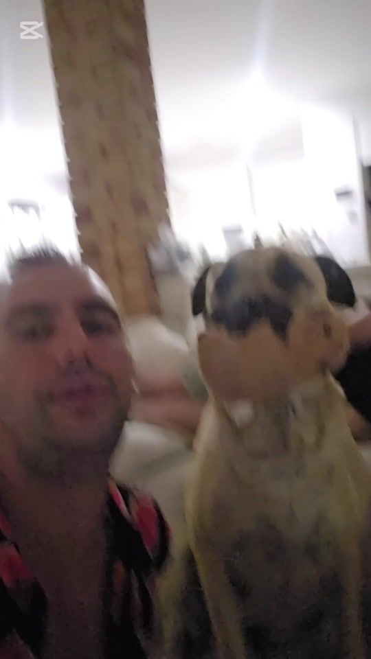 TikTok video thumbnail by mic_power