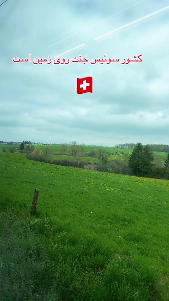 TikTok video thumbnail by user5695800215741
