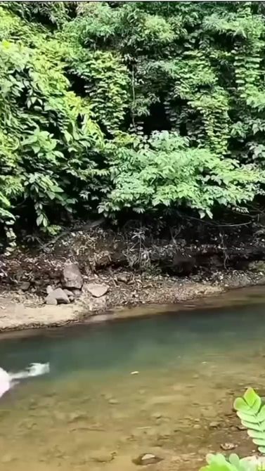 TikTok video thumbnail by laetsangedward