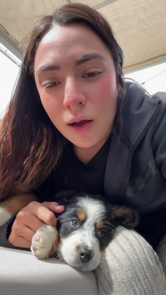 TikTok video thumbnail by luciallamasmartinez