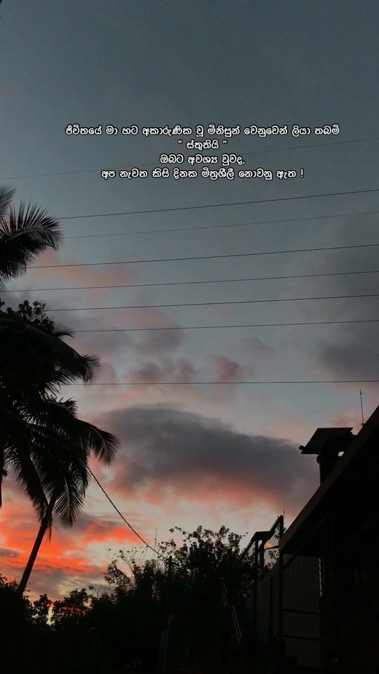 TikTok video thumbnail by _dilyy8
