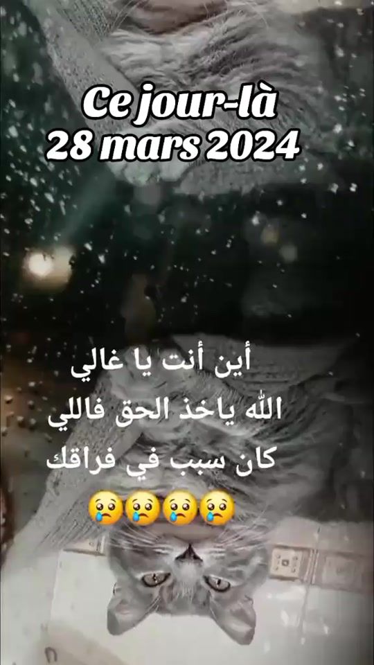 TikTok video thumbnail by hasaniaait