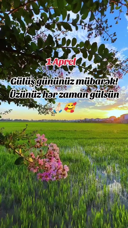 TikTok video thumbnail by gasimova.narin