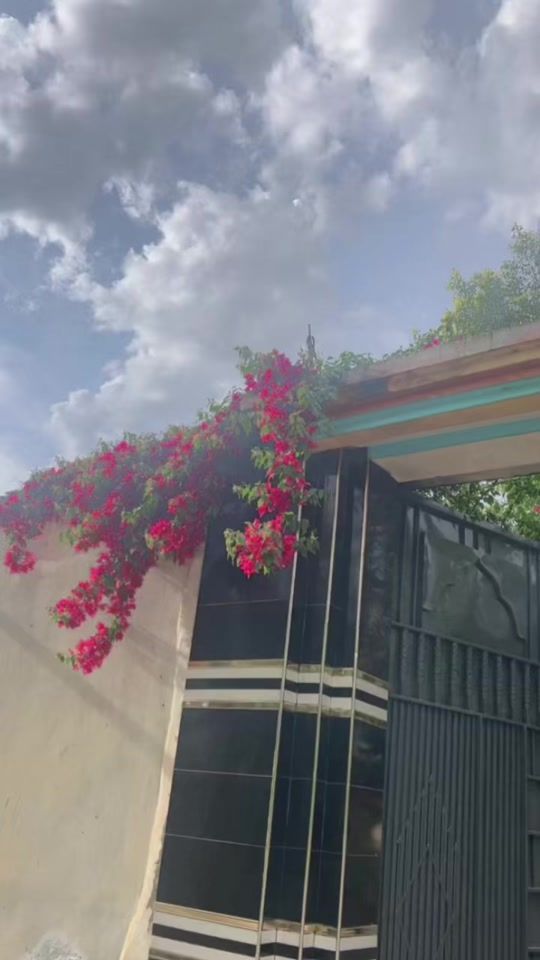 TikTok video thumbnail by abbasmohmand99