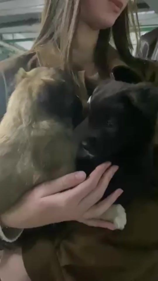 TikTok video thumbnail by azilbarbos