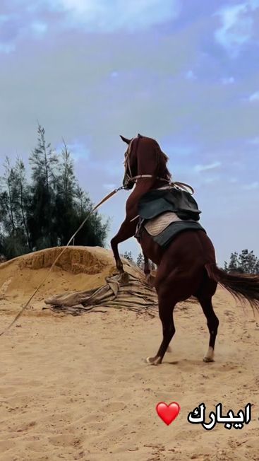 TikTok video thumbnail by ali35altohame