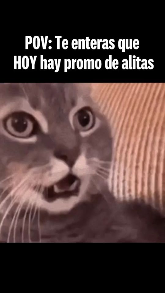 TikTok video thumbnail by kfcpty
