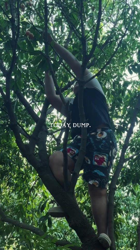TikTok video thumbnail by kwangsiii