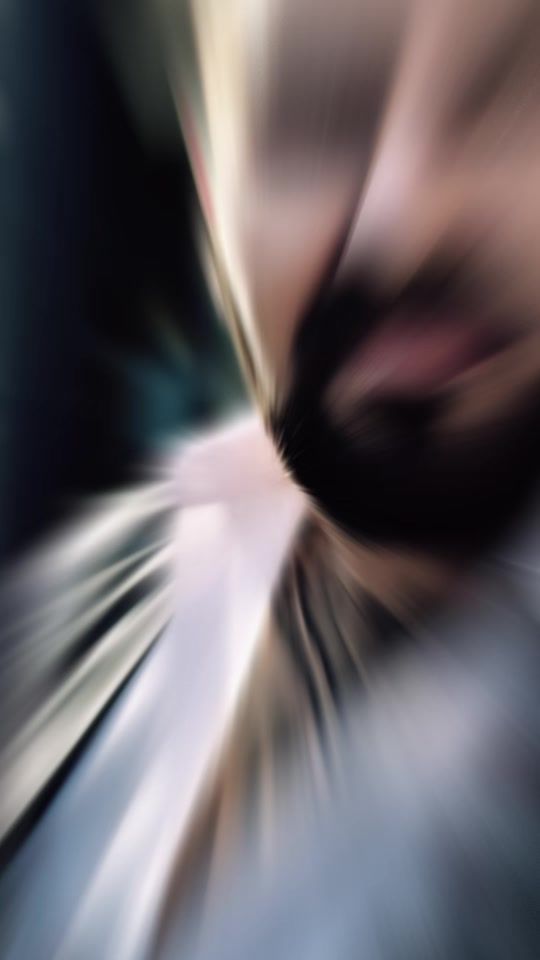 TikTok video thumbnail by ottomanlive64