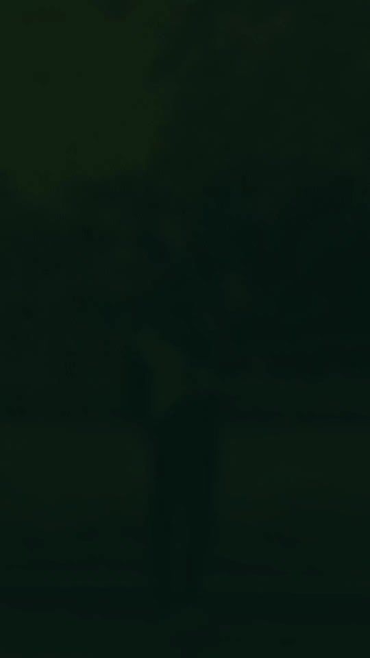 TikTok video thumbnail by its_riham_4.1