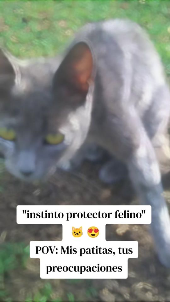 TikTok video thumbnail by sol09103