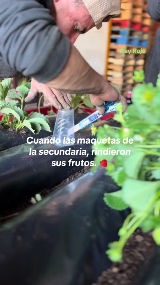 TikTok video thumbnail by elrey.rojo
