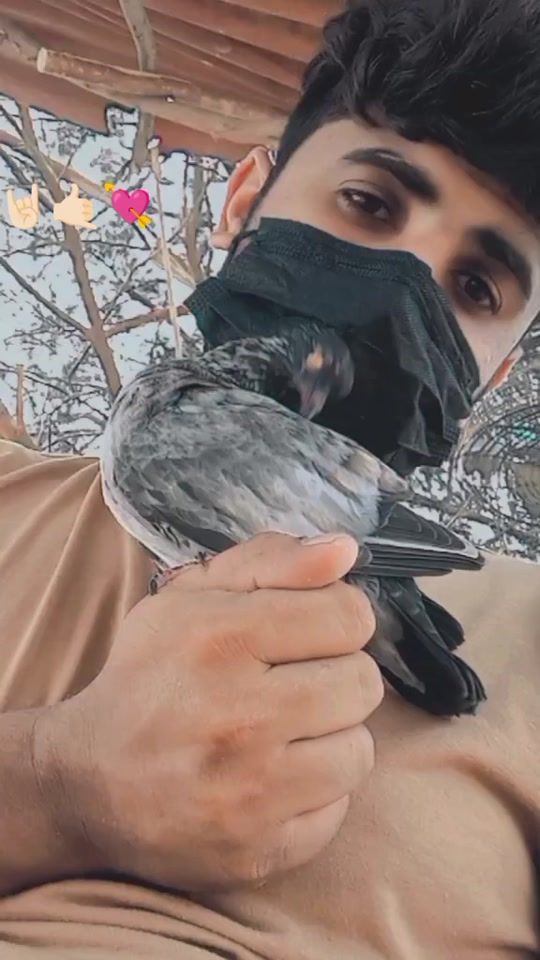 TikTok video thumbnail by fojig0786
