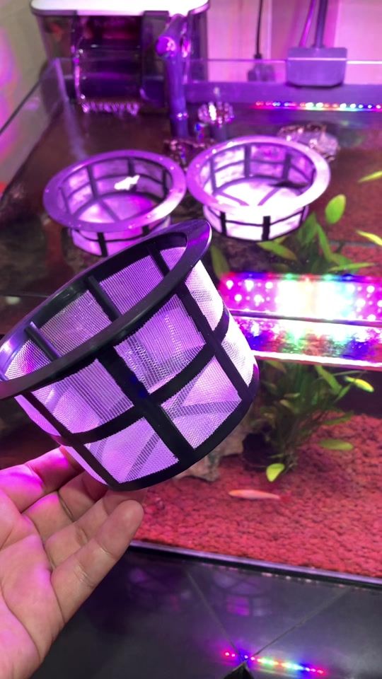 TikTok video thumbnail by yong_sofron