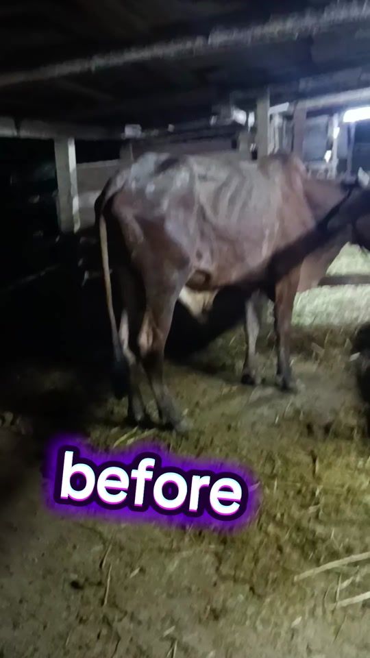 TikTok video thumbnail by shenaaz002