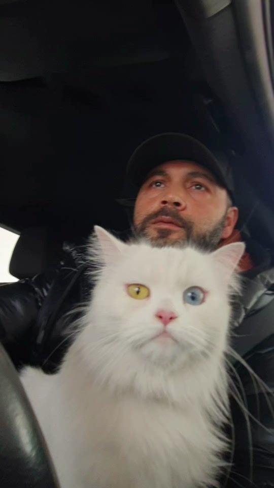 TikTok video thumbnail by salim.mecharti