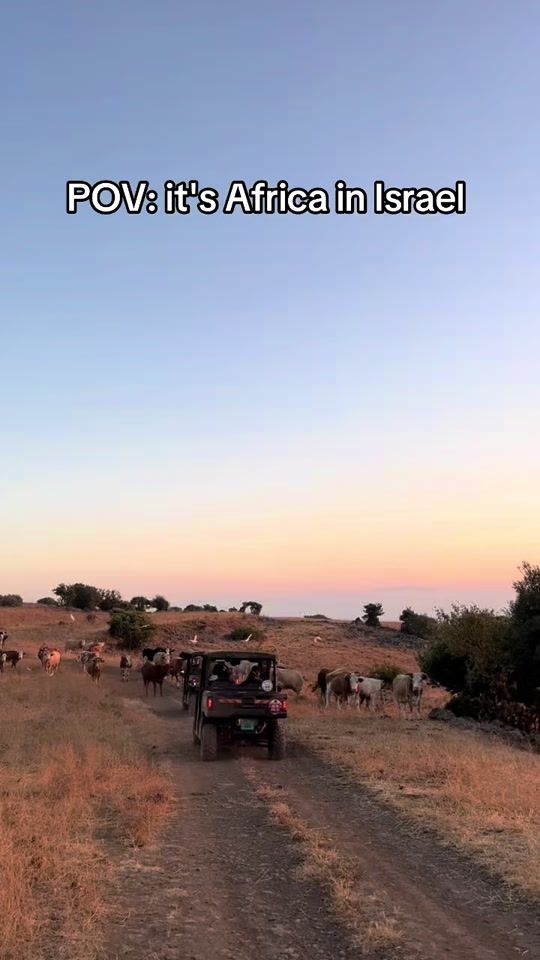 TikTok video thumbnail by kfarnofesh