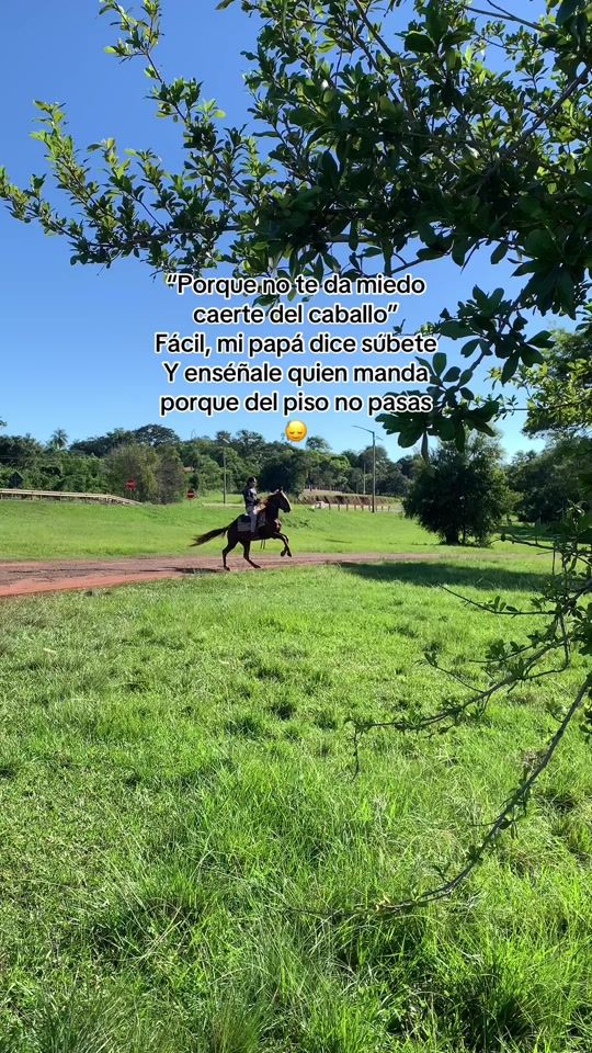 TikTok video thumbnail by maurita_caceres