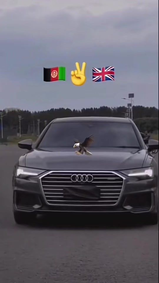 TikTok video thumbnail by nonim981
