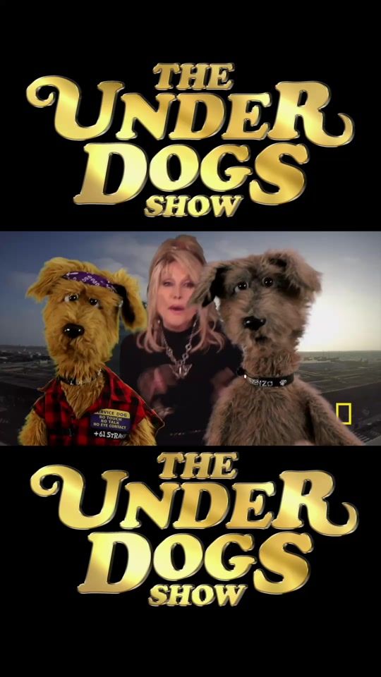 TikTok video thumbnail by theunderdogsshow