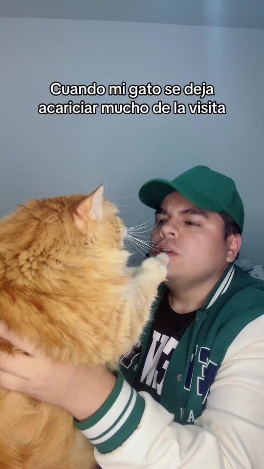 TikTok video thumbnail by kamui_holic